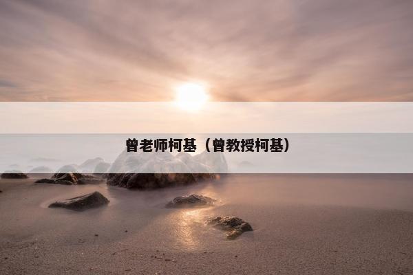 曾老师柯基（曾教授柯基）