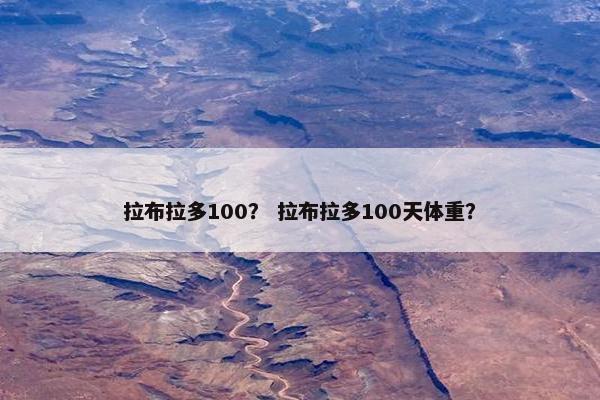 拉布拉多100？ 拉布拉多100天体重？