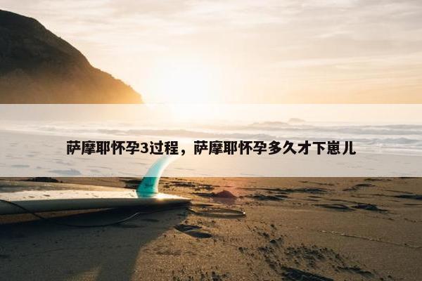 萨摩耶怀孕3过程，萨摩耶怀孕多久才下崽儿