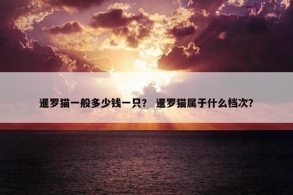 暹罗猫一般多少钱一只？ 暹罗猫属于什么档次？