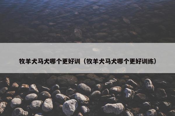 牧羊犬马犬哪个更好训（牧羊犬马犬哪个更好训练）