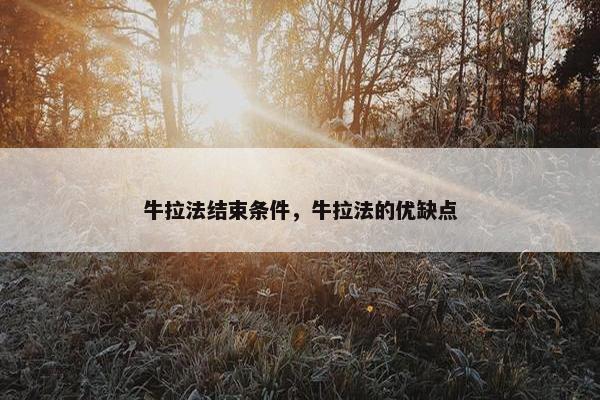 牛拉法结束条件，牛拉法的优缺点