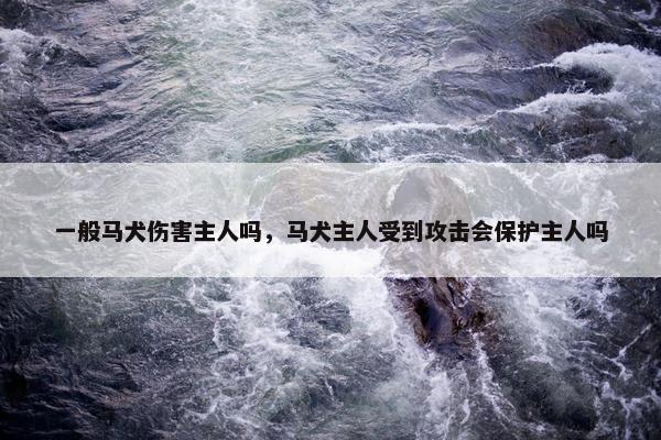 一般马犬伤害主人吗，马犬主人受到攻击会保护主人吗