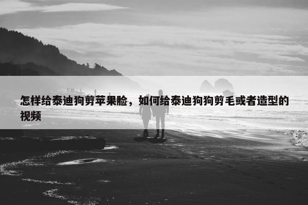 怎样给泰迪狗剪苹果脸，如何给泰迪狗狗剪毛或者造型的视频