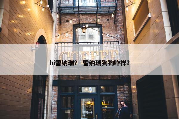 hi雪纳瑞？ 雪纳瑞狗狗咋样？