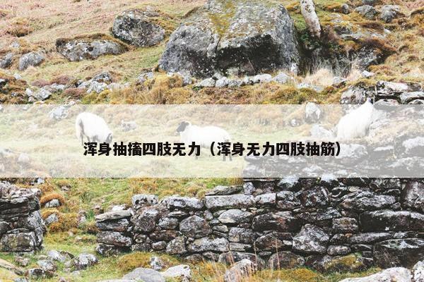 浑身抽搐四肢无力（浑身无力四肢抽筋）