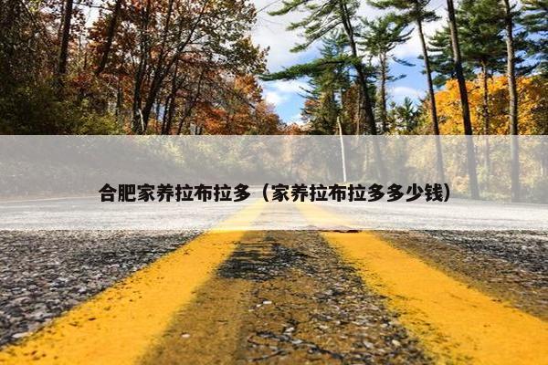 合肥家养拉布拉多（家养拉布拉多多少钱）