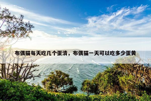 布偶猫每天吃几个蛋清，布偶猫一天可以吃多少蛋黄
