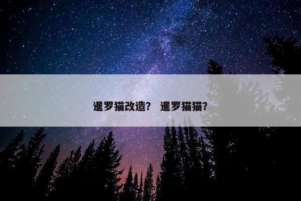 暹罗猫改造？ 暹罗猫猫？