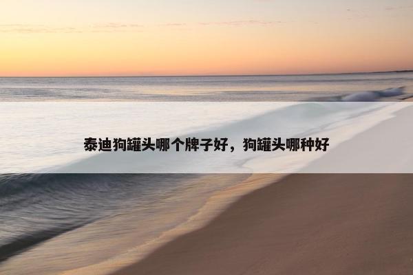泰迪狗罐头哪个牌子好，狗罐头哪种好