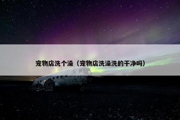 宠物店洗个澡（宠物店洗澡洗的干净吗）