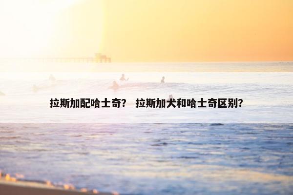 拉斯加配哈士奇？ 拉斯加犬和哈士奇区别？