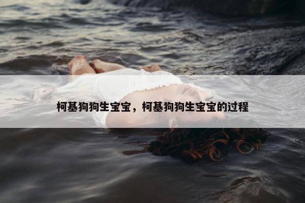柯基狗狗生宝宝，柯基狗狗生宝宝的过程