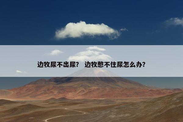 边牧尿不出尿？ 边牧憋不住尿怎么办？