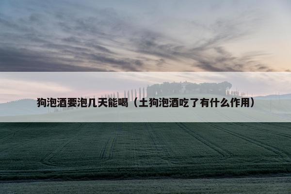 狗泡酒要泡几天能喝（土狗泡酒吃了有什么作用）