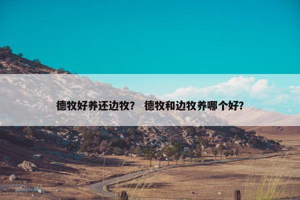 德牧好养还边牧？ 德牧和边牧养哪个好？