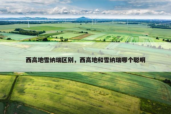 西高地雪纳瑞区别，西高地和雪纳瑞哪个聪明