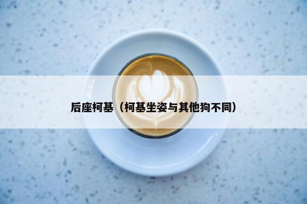 后座柯基（柯基坐姿与其他狗不同）