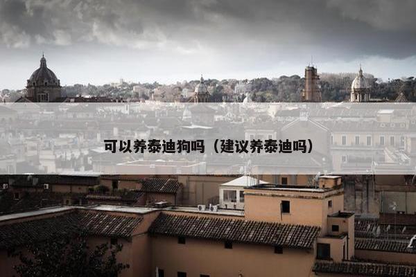 可以养泰迪狗吗（建议养泰迪吗）