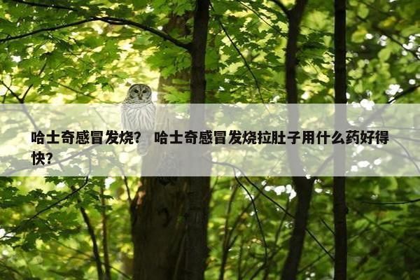哈士奇感冒发烧？ 哈士奇感冒发烧拉肚子用什么药好得快？