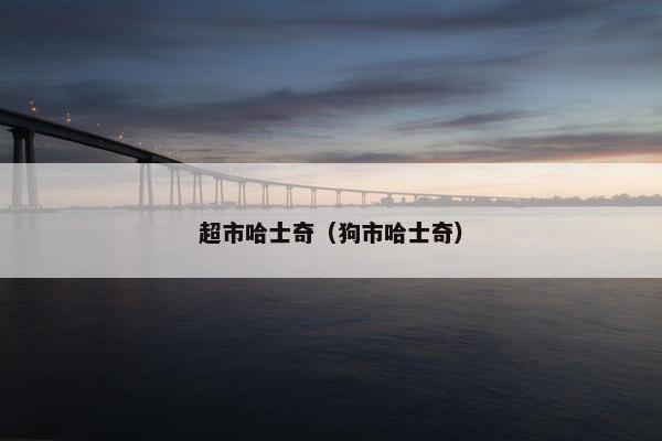 超市哈士奇（狗市哈士奇）