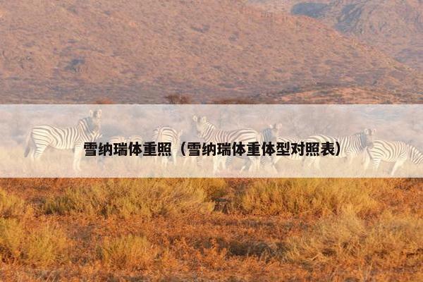 雪纳瑞体重照（雪纳瑞体重体型对照表）