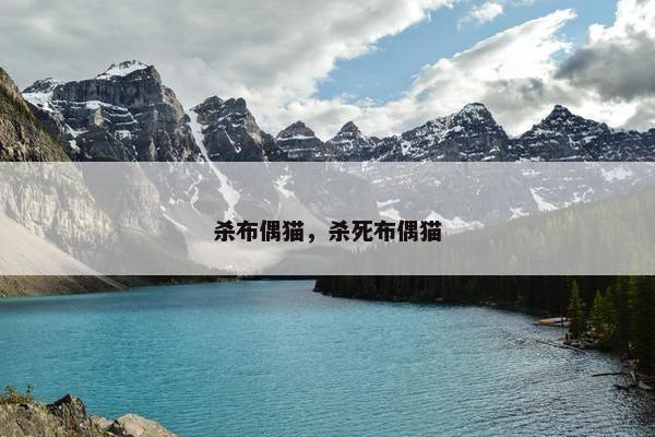 杀布偶猫，杀死布偶猫
