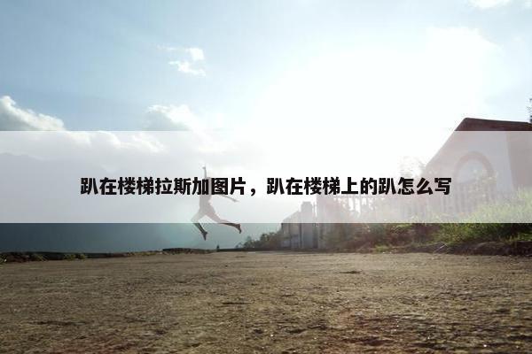 趴在楼梯拉斯加图片，趴在楼梯上的趴怎么写