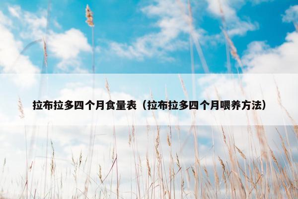 拉布拉多四个月食量表（拉布拉多四个月喂养方法）