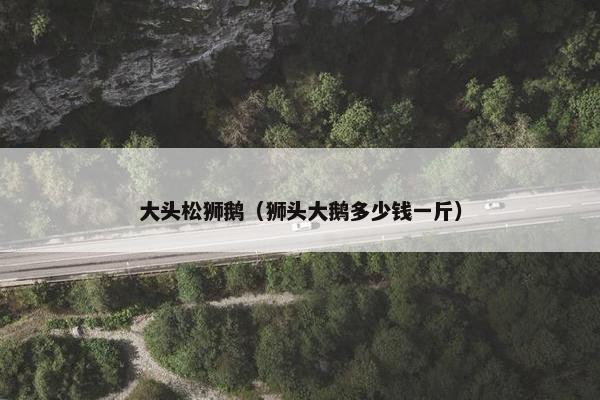 大头松狮鹅(狮头大鹅多少钱一斤) 大头松狮鹅(狮头大鹅多少钱一斤)