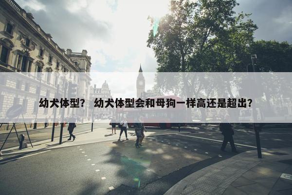 幼犬体型？ 幼犬体型会和母狗一样高还是超出？