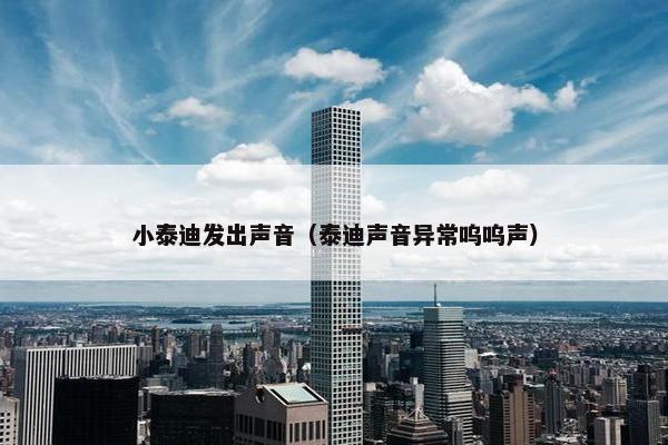 小泰迪发出声音（泰迪声音异常呜呜声）
