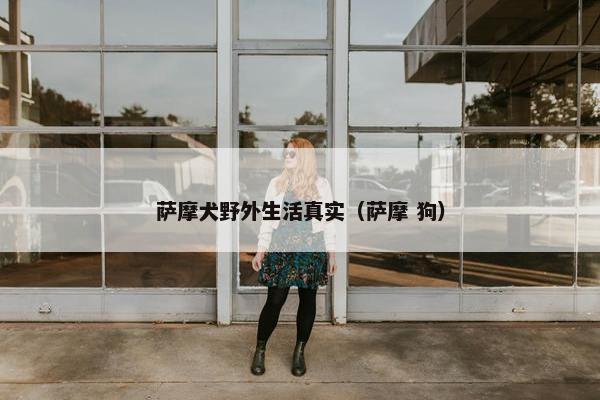 萨摩犬野外生活真实（萨摩 狗）