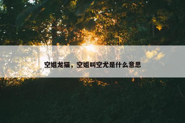 空姐龙猫，空姐叫空尤是什么意思