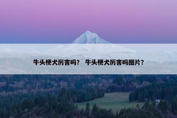 牛头梗犬厉害吗？ 牛头梗犬厉害吗图片？