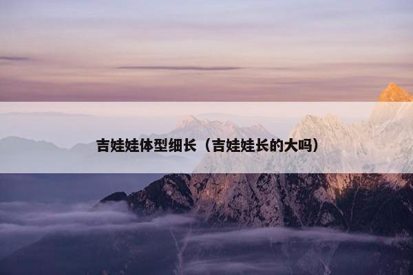 吉娃娃体型细长（吉娃娃长的大吗）