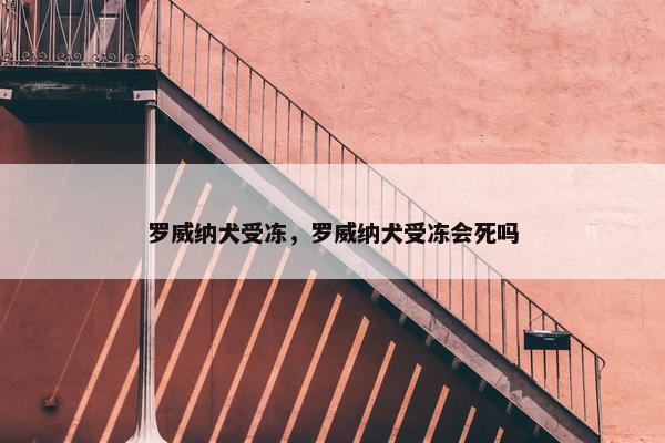 罗威纳犬受冻，罗威纳犬受冻会死吗