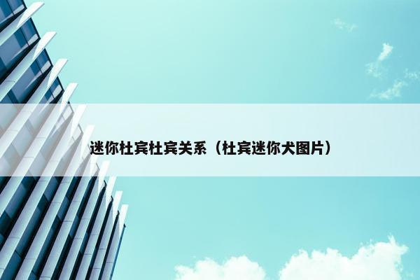 迷你杜宾杜宾关系（杜宾迷你犬图片）