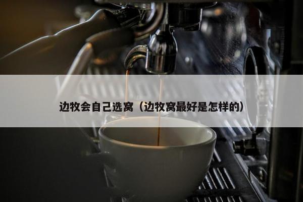 边牧会自己选窝（边牧窝最好是怎样的）