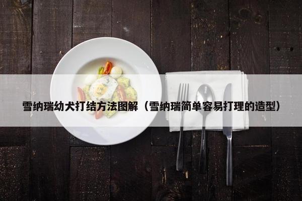 雪纳瑞幼犬打结方法图解（雪纳瑞简单容易打理的造型）