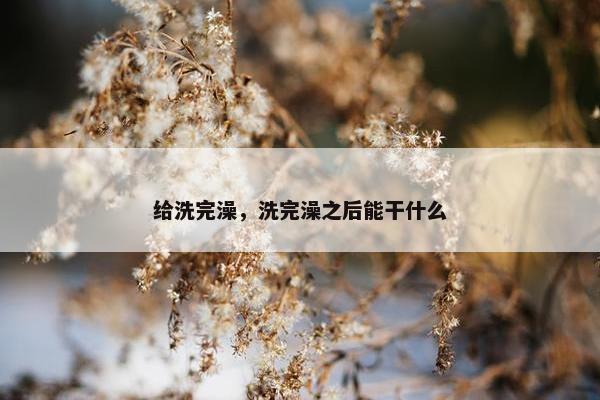 给洗完澡，洗完澡之后能干什么