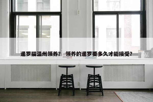 暹罗猫温州领养？ 领养的暹罗要多久才能接受？