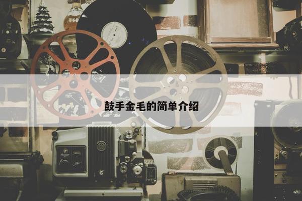 鼓手金毛的简单介绍
