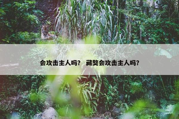 会攻击主人吗？ 藏獒会攻击主人吗？