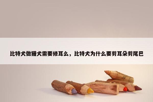 比特犬做猎犬需要修耳么，比特犬为什么要剪耳朵剪尾巴