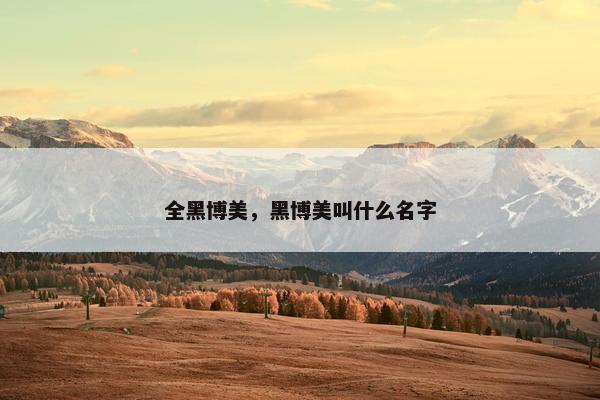 全黑博美，黑博美叫什么名字