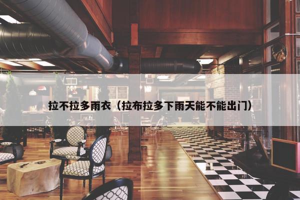 拉不拉多雨衣（拉布拉多下雨天能不能出门）