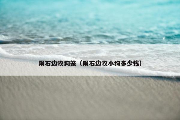 陨石边牧狗笼（陨石边牧小狗多少钱）