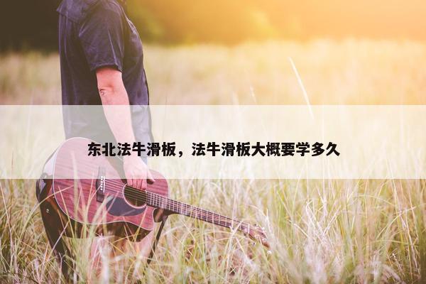 东北法牛滑板，法牛滑板大概要学多久