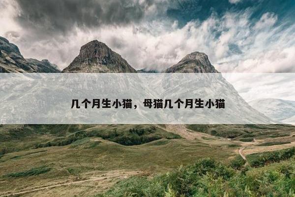 几个月生小猫，母猫几个月生小猫